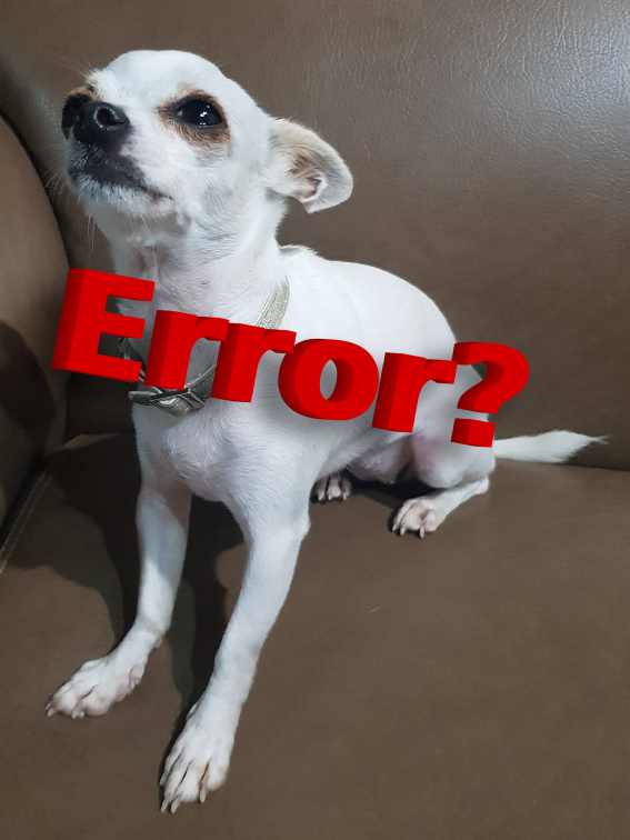 A white error chihuahua.